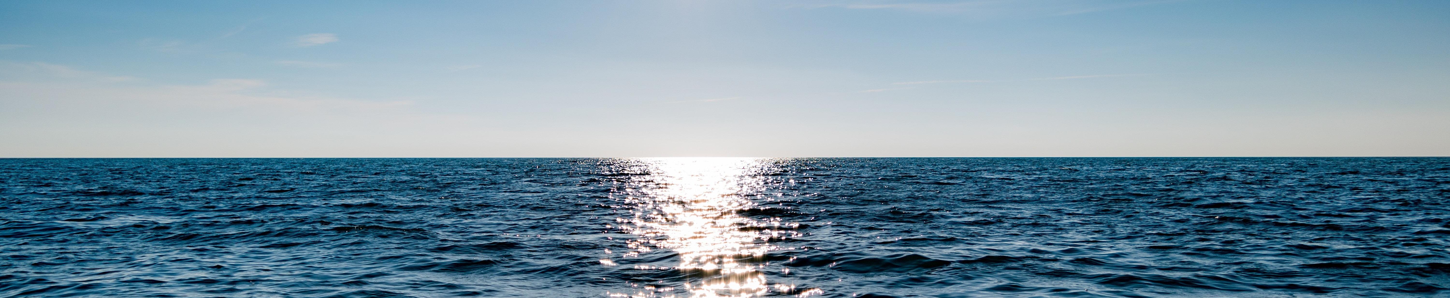 Reflections: Stepping Back and Moving Forward